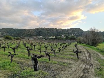 full620388229a0071644398626