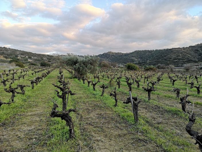 Image No.3-Property for sale