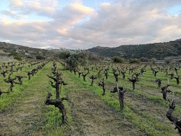 full620388237f27c1644398627