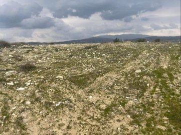 full6218d0c888fe51645793480