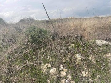 full6218d0c483b8e1645793476