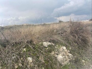 full6218d0c540aee1645793477