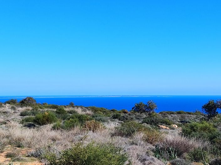 Image No.6-Property for sale