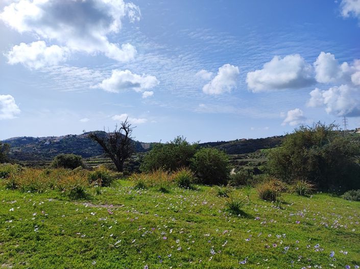 Image No.3-Property for sale