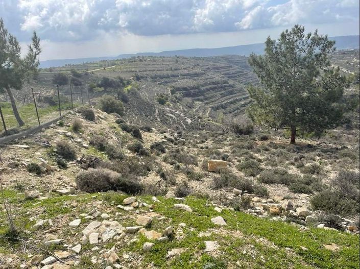 Image No.2-Property for sale