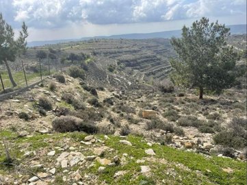 full6226d881453a91646712961