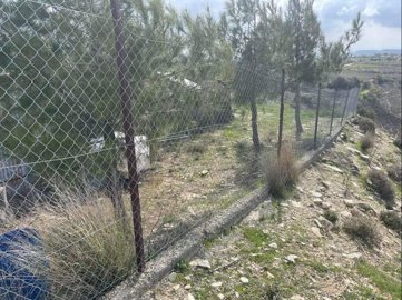 full6226d882e191e1646712962