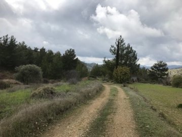 full623c70c06d2a51648128192