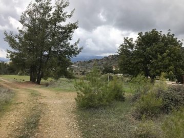 full623c70b9d8adf1648128185