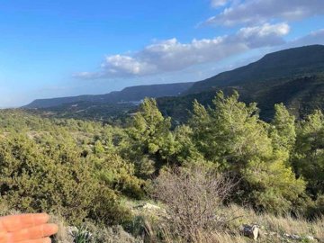 full6257da9e9545a1649924766