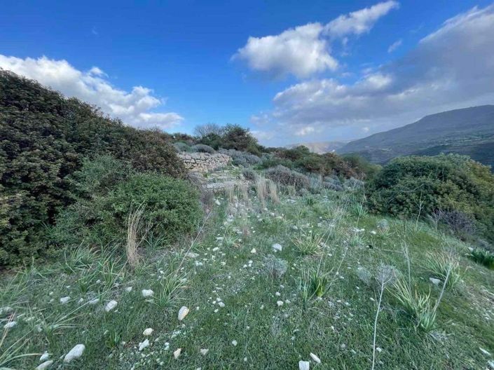 Image No.2-Property for sale