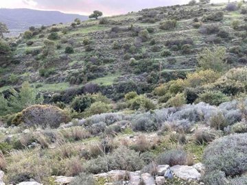 full6257da96dabfe1649924758