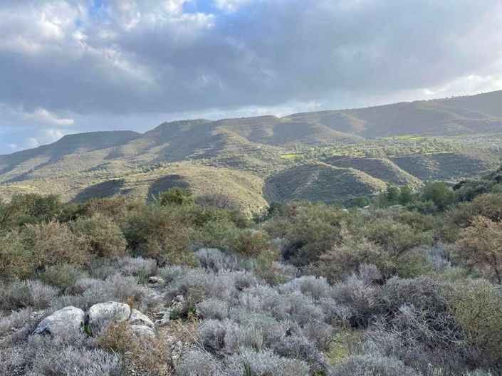 Image No.4-Property for sale