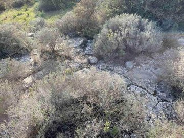 full6257da9902cf51649924761