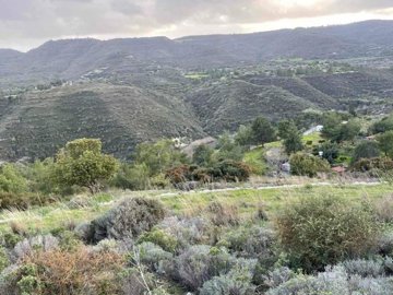 full6257da99b45671649924761