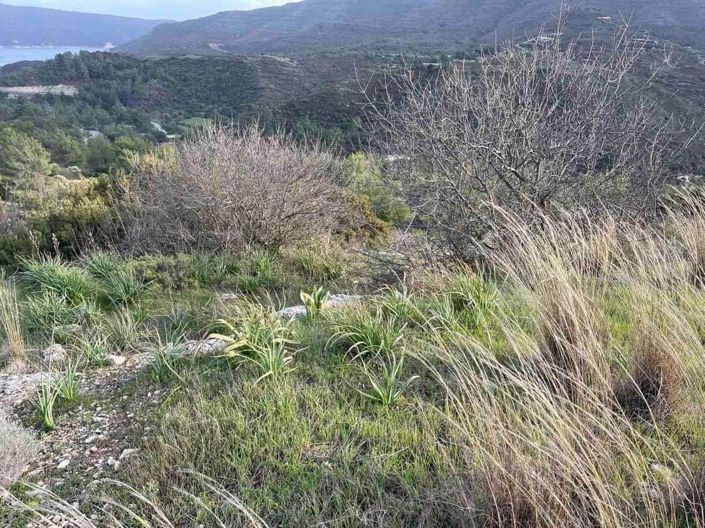 Image No.7-Property for sale