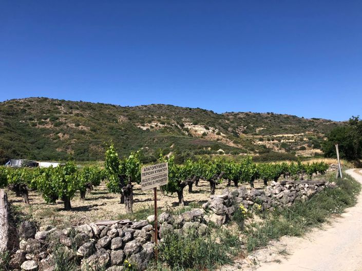 Image No.2-Propriété à vendre à Chypre