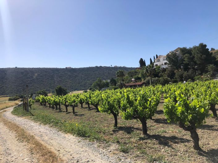 Image No.3-Propriété à vendre à Chypre