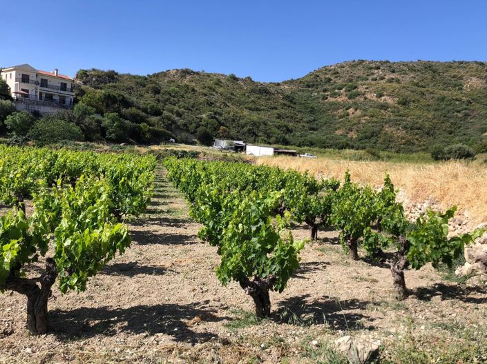 Image No.4-Propriété à vendre à Chypre