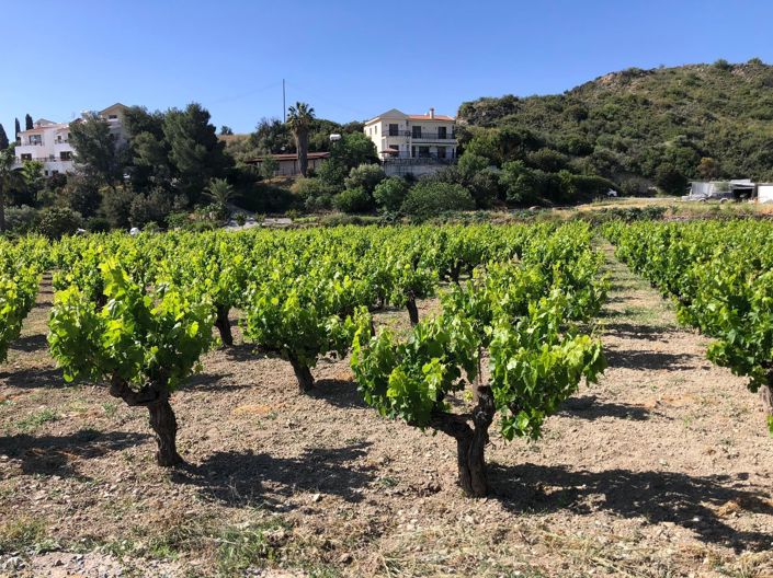 Image No.5-Propriété à vendre à Chypre