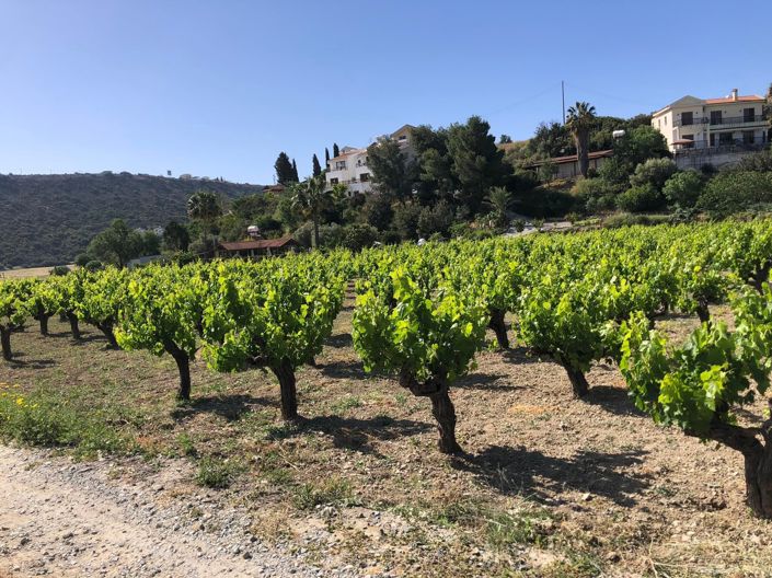 Image No.8-Propriété à vendre à Chypre