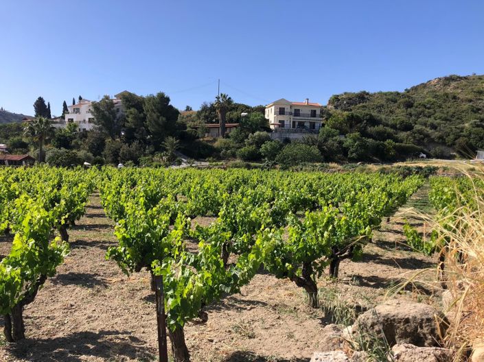 Image No.9-Propriété à vendre à Chypre