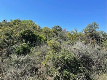 full629223cda7e561653744589