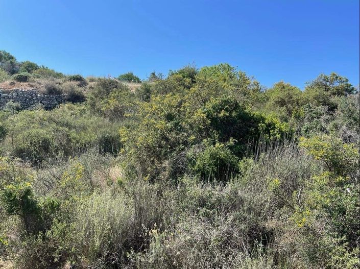 Image No.11-Property for sale