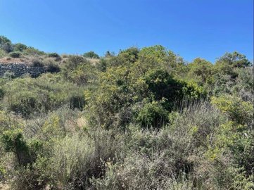 full629223ce74b3c1653744590