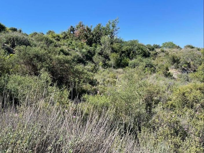 Image No.12-Property for sale