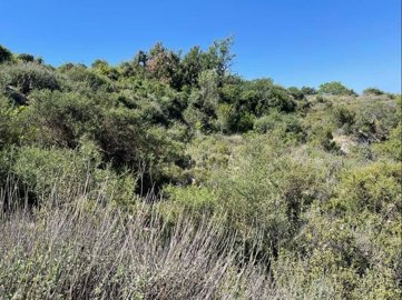 full629223cf4d87d1653744591