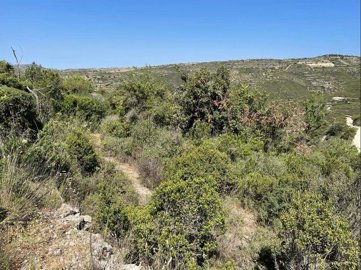 full629223d14e7c91653744593