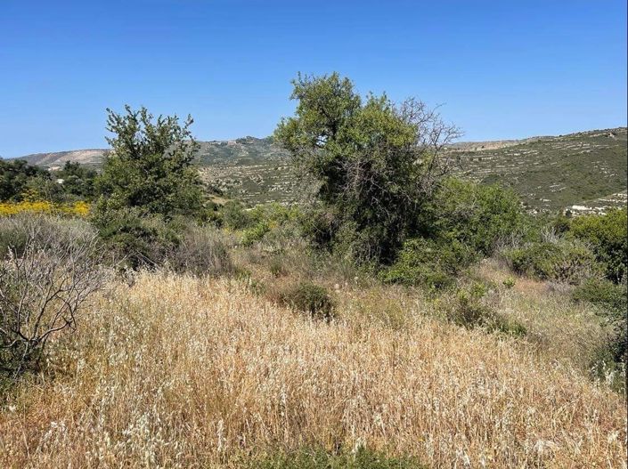 Image No.15-Property for sale