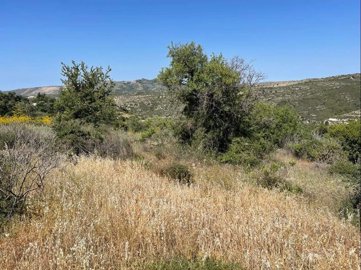 full629223d2220421653744594