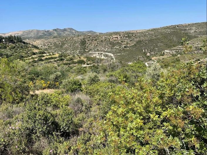 Image No.19-Property for sale