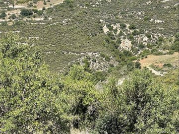 full629223ca1cafd1653744586