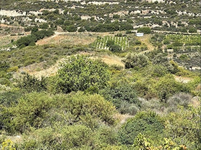 Image No.7-Property for sale