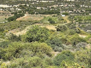 full629223cb108d81653744587