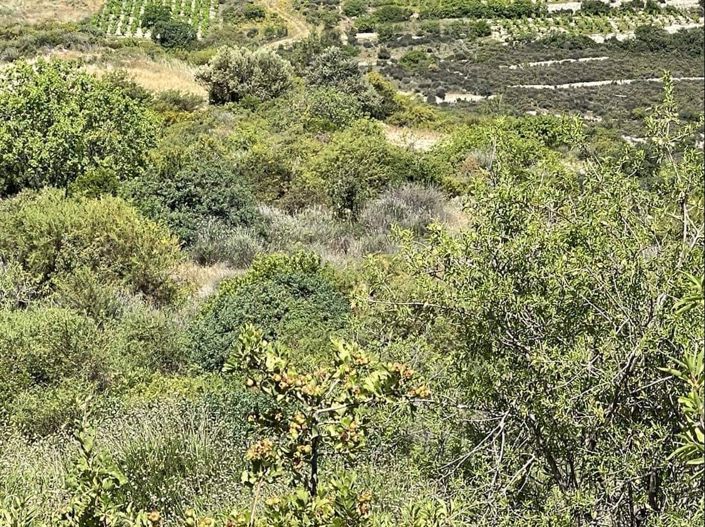 Image No.8-Property for sale