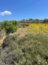 Propriété à vendre à Chypre