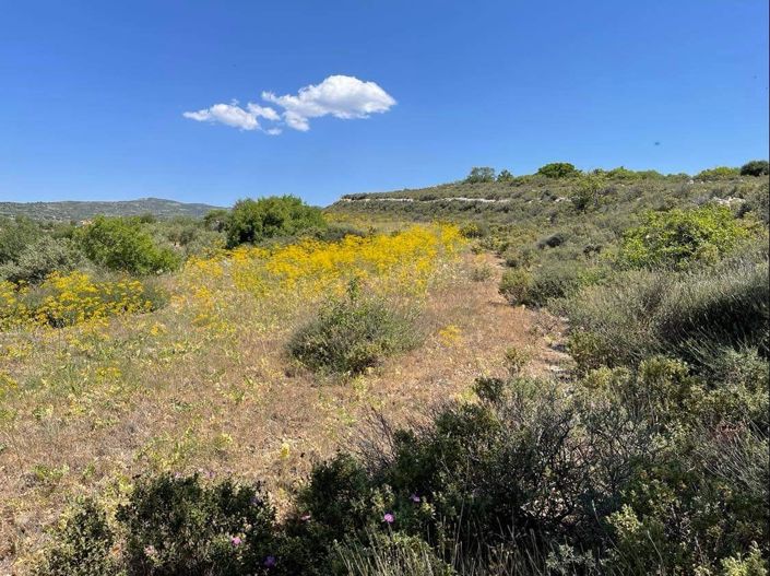 Image No.12-Propriété à vendre à Chypre