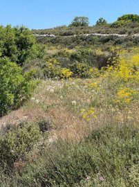 full6292260be68351653745163