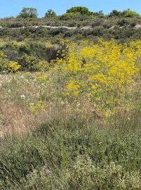 full6292260d7f44d1653745165