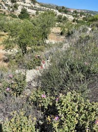 full629226110a4151653745169