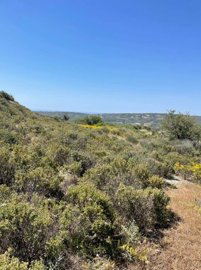 full6292261219cfb1653745170