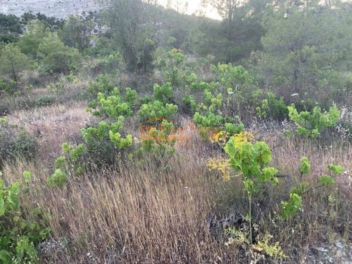 Image No.9-Propriété à vendre à Chypre