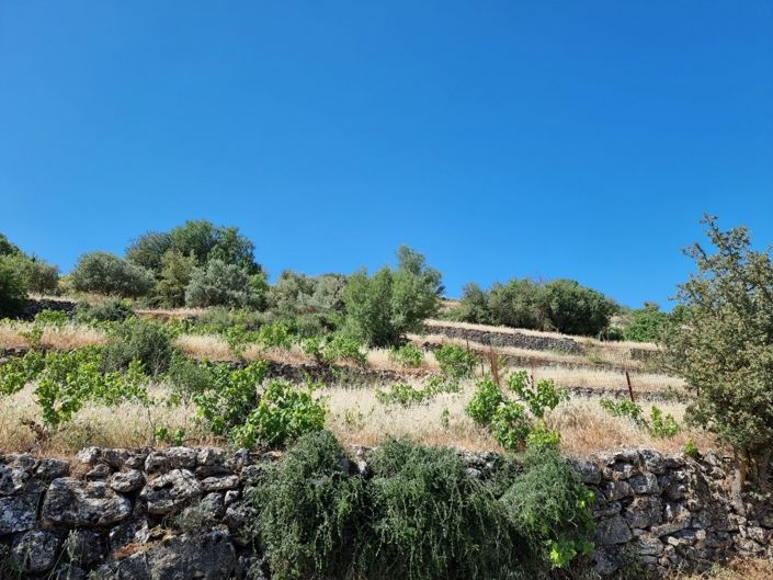 Image No.2-Property for sale