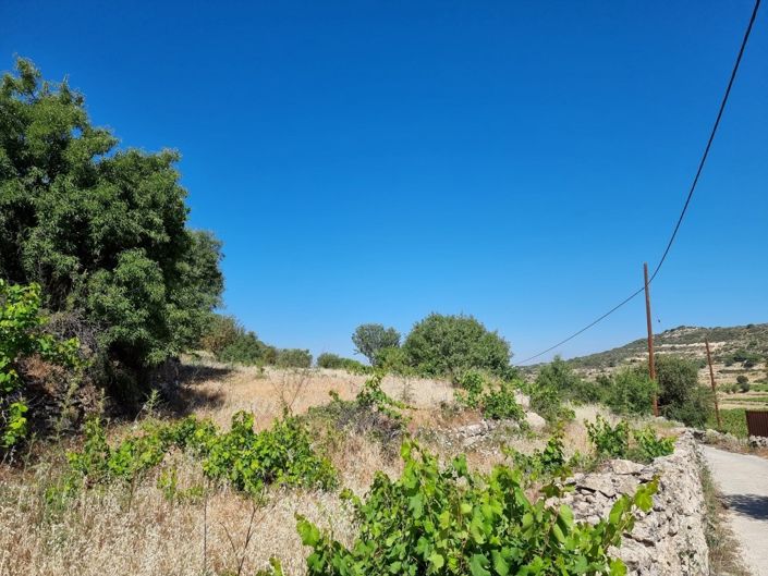 Image No.3-Property for sale