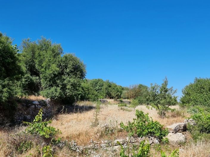 Image No.4-Property for sale