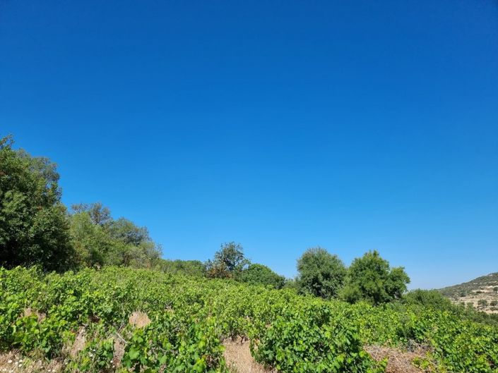 Image No.6-Property for sale